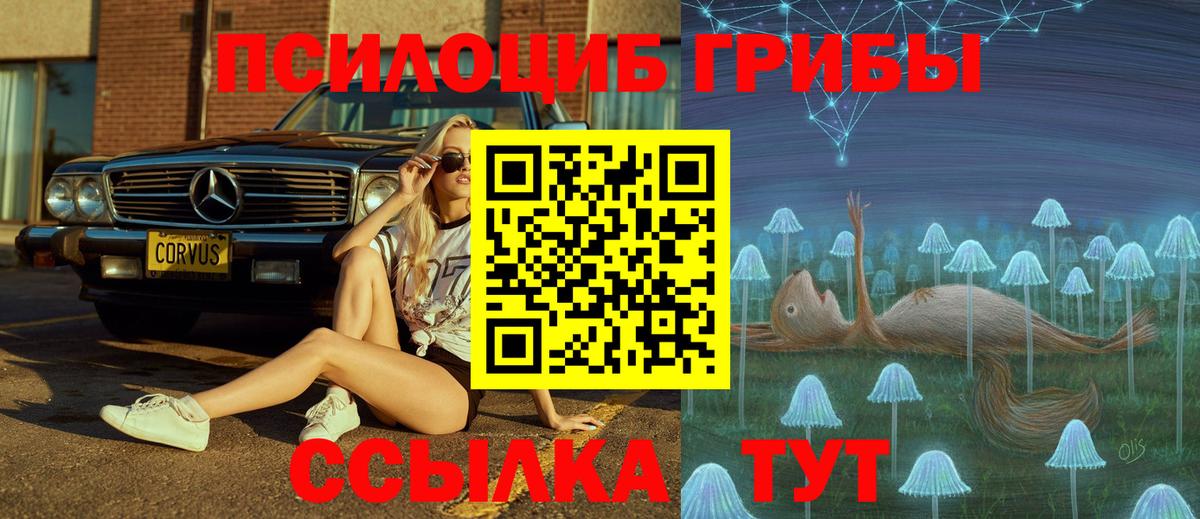 Владивосток  Псилоцибиновые грибы Cubensis  Вход с VPN 